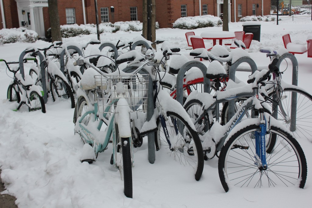 The bikes are completely covered in snow. Photo by Samantha Crowder.