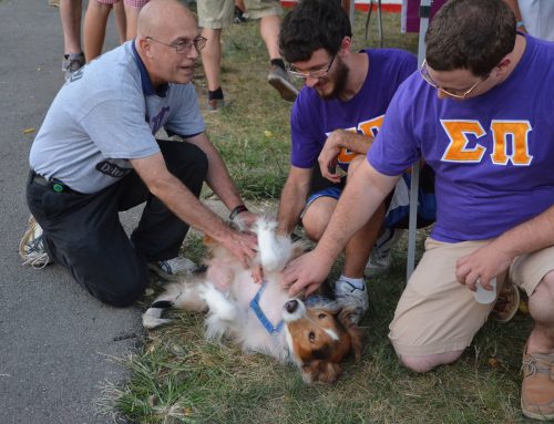 VIDEO: Pause for Paws event the highlight U of L Reading Day