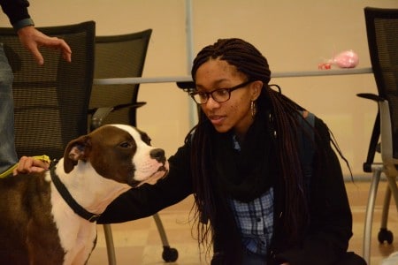 Taylor Williams uses puppy love to relieve pre-finals nerves.
