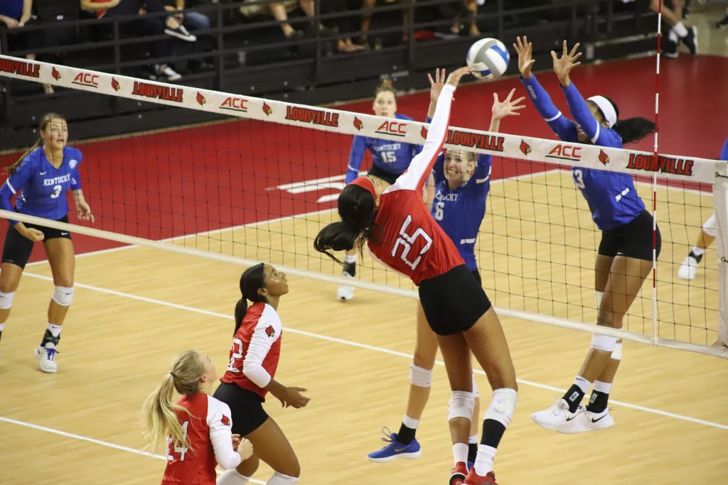 No. 20 Kentucky sweeps volleyball • The Louisville Cardinal