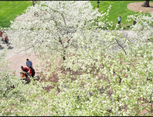 U of L received Gold STARS rating for 2019