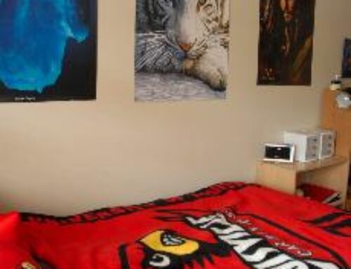 Make this year’s dorm a home away from home