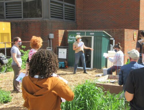 University’s Garden Commons aims to educate and address food inequality