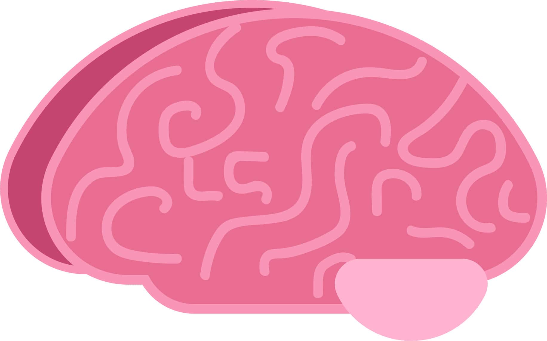 Pink cartoon brain