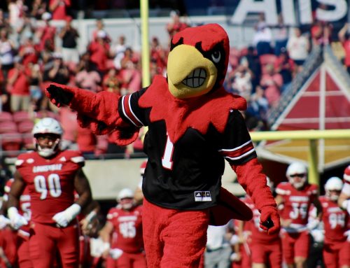Birds of a Feather: Miami