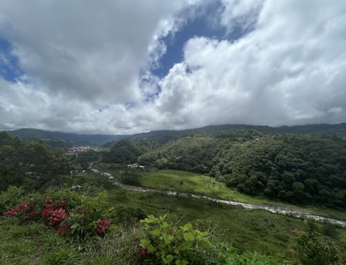 Turning Dreams into Destinations: The study abroad experience at U of L 