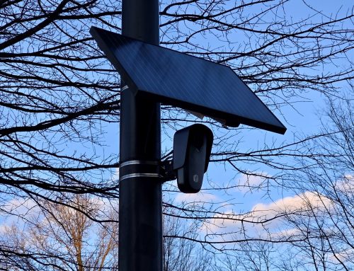 OPINION: Get the Flock off of campus