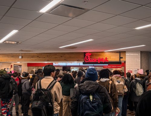 Surviving the 12 p.m. chicken siege