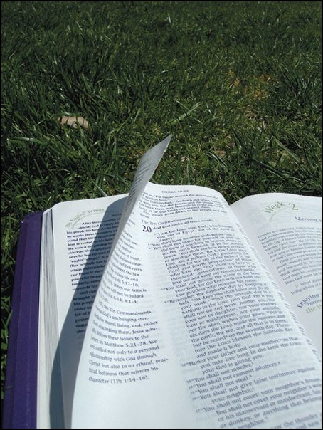 State lawmakers legalize posting of Commandments