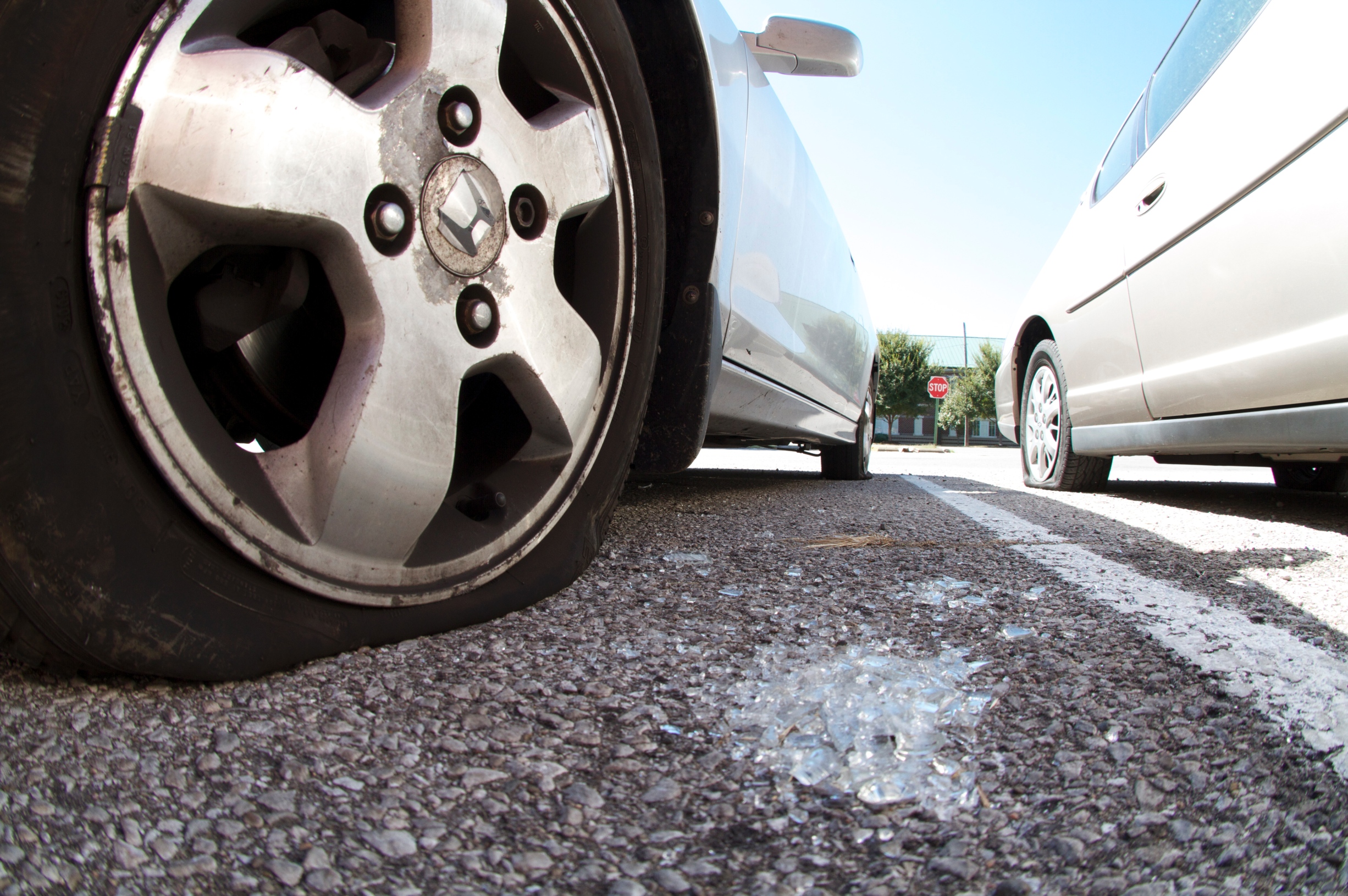 Several cars across campus were vandilzed in the early morning hours on Sunday, August 5.